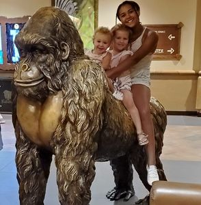 Meet your Posher, Ginger